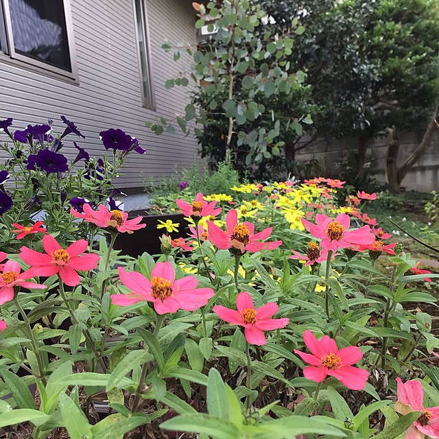 houenさんの実例写真
