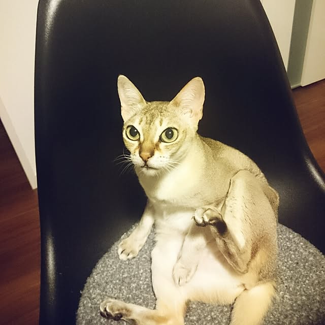 Jcさんの実例写真