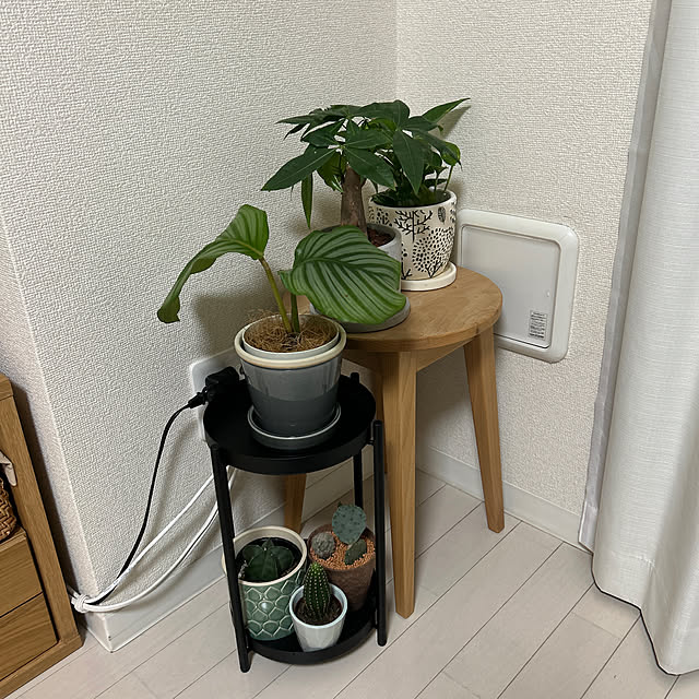 cccさんの実例写真