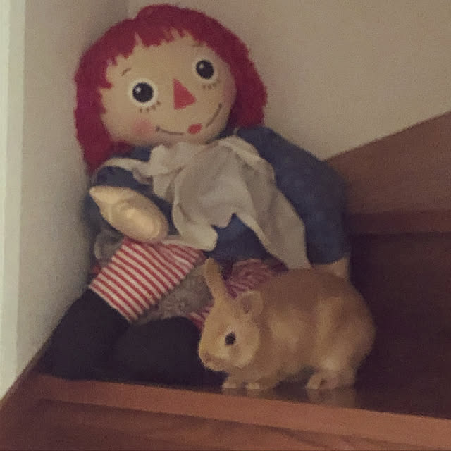 pikarunさんの実例写真