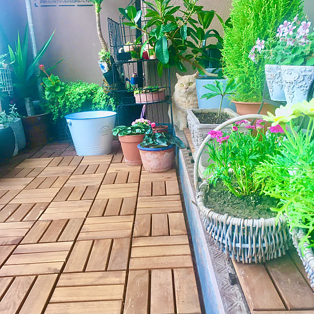 naokoさんの部屋