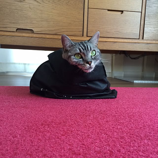 mikomaruさんの実例写真