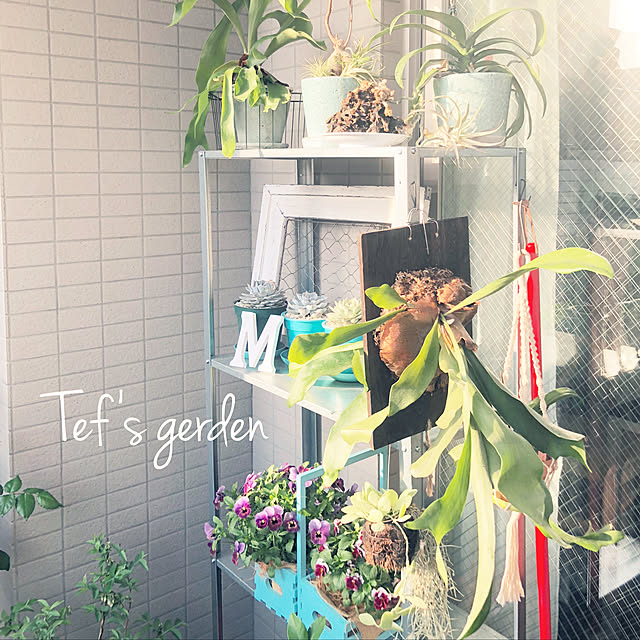tefさんの実例写真