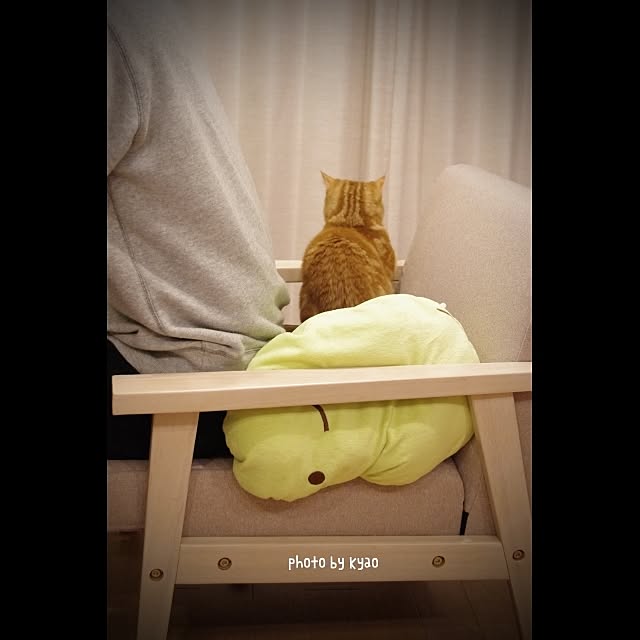 kyaoさんの実例写真