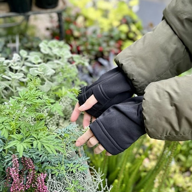 Royal_Gardeners_Clubさんの実例写真