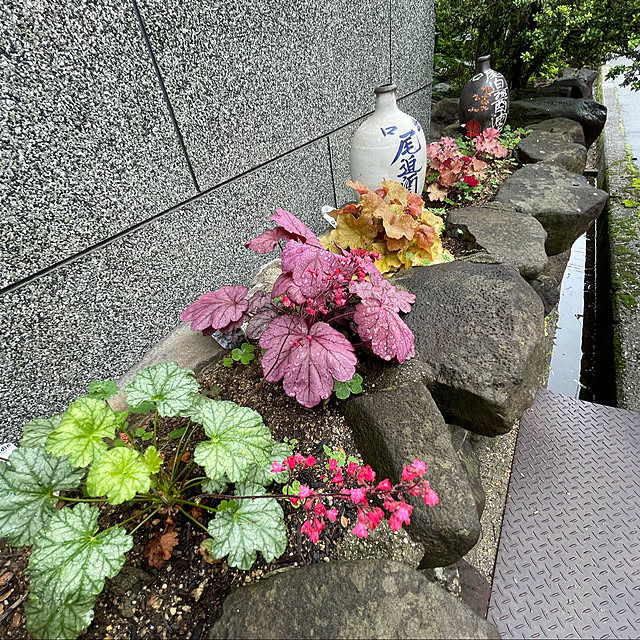 buchiさんの実例写真