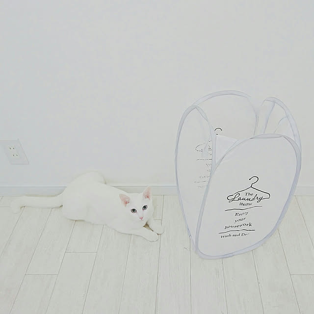 hinataさんの実例写真