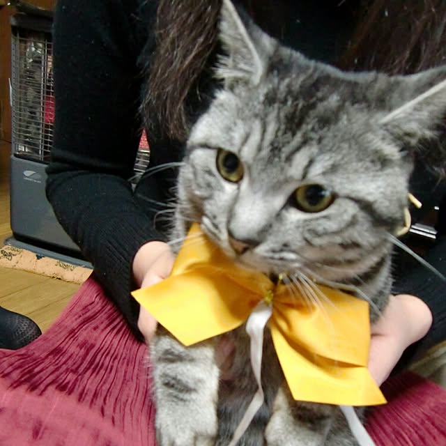 yukaさんの実例写真