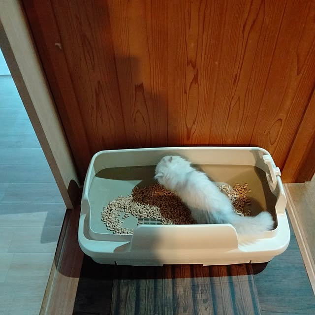 makaronさんの部屋