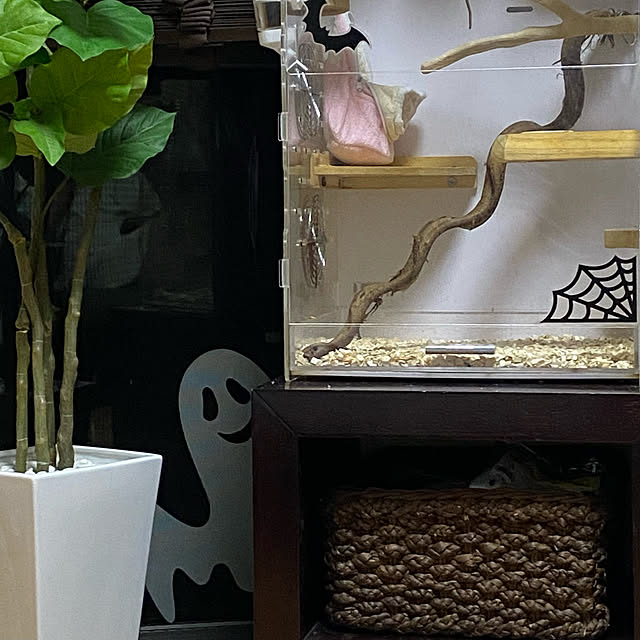 sacchiさんの実例写真