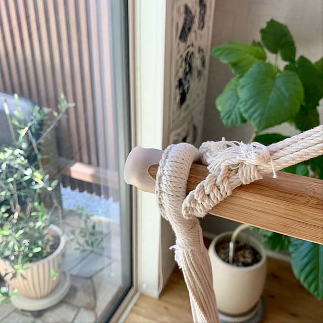 Minteaさんの部屋