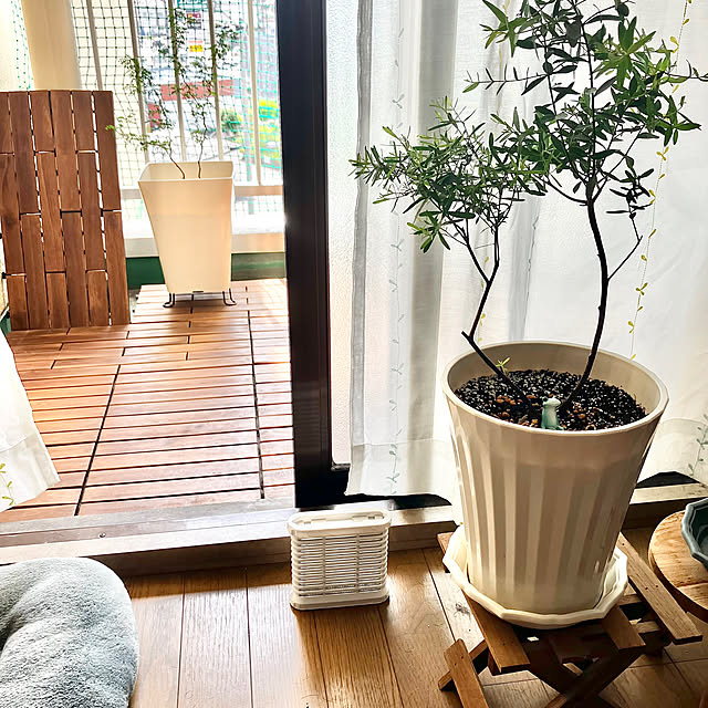 kagomamaさんの実例写真