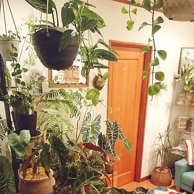 ot-gardenさんの実例写真