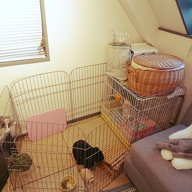 noirAyaさんの実例写真