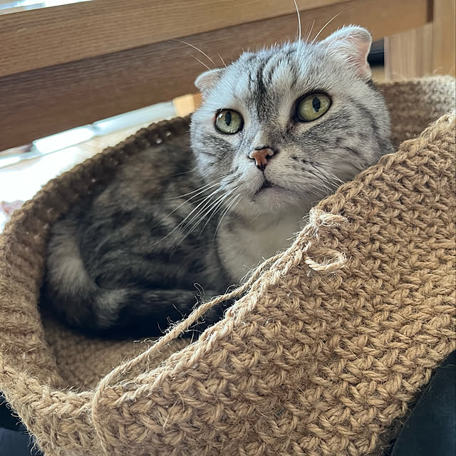 kuuさんの実例写真