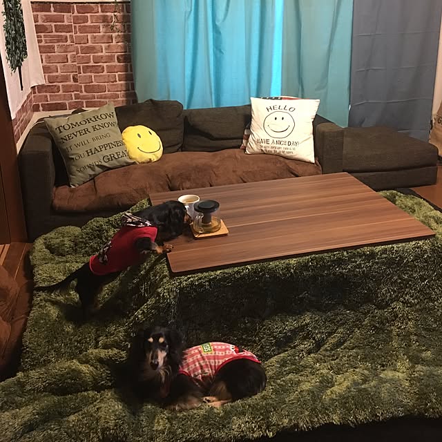 Mayaさんの実例写真