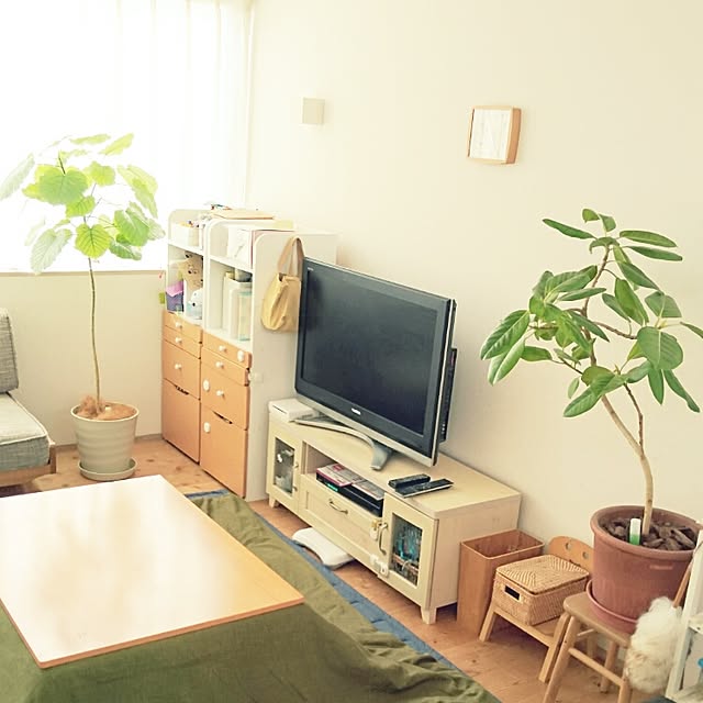 marotsukuneさんの実例写真