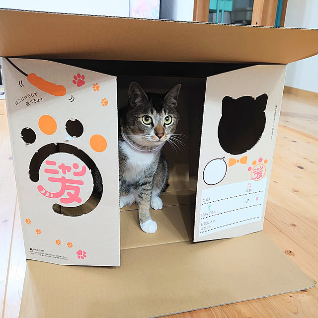 ayaさんの実例写真