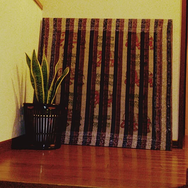 Mikaさんの実例写真