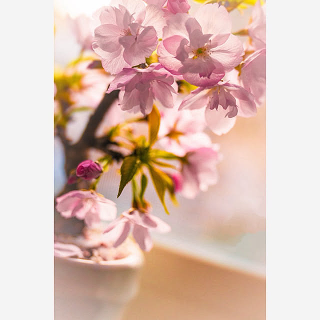 tocchiさんの部屋