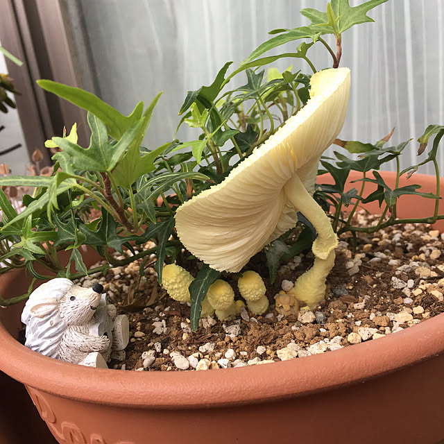 krkrさんの実例写真