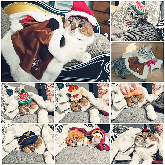 hiro3さんの実例写真
