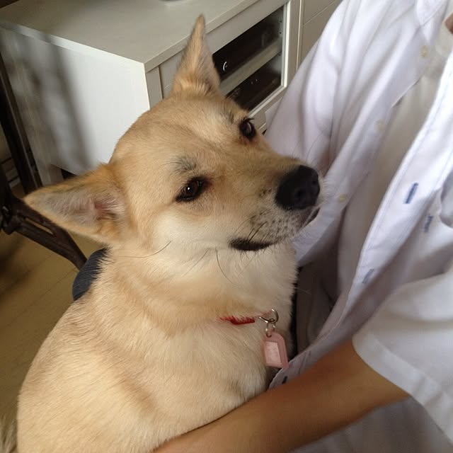 leonaさんの実例写真