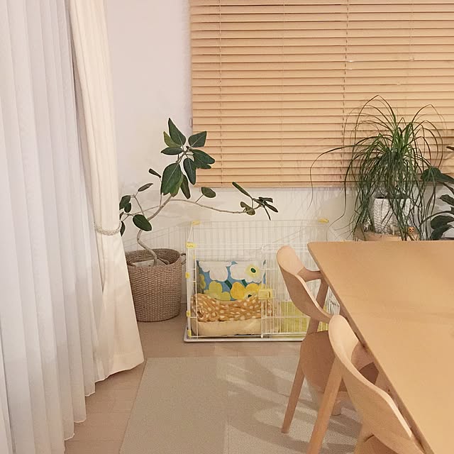 haruhinaさんの実例写真