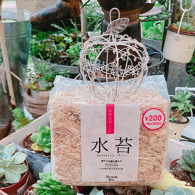 Hanakaさんの部屋
