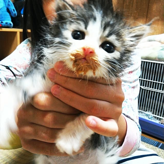 kaiさんの実例写真