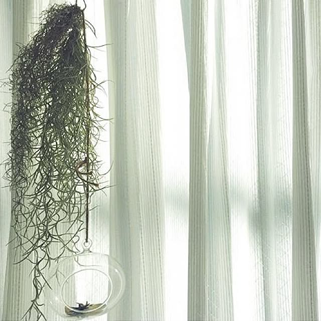 Yokoさんの実例写真