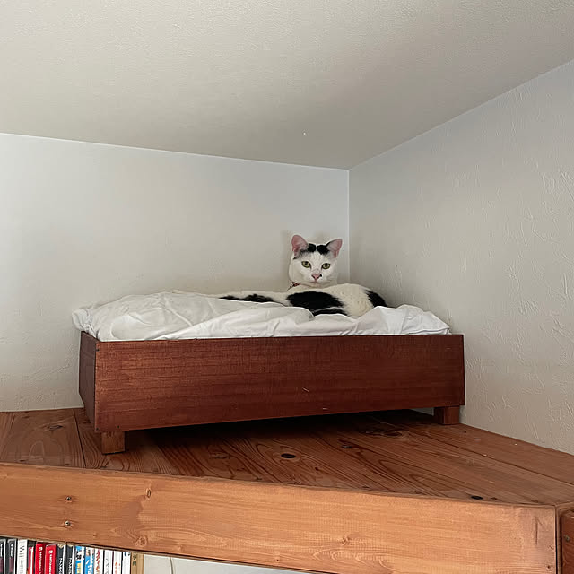 coolcats0528さんの実例写真