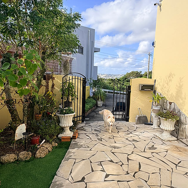 bu-bu-chanさんの部屋