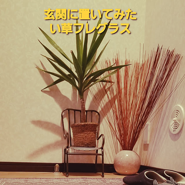 takoさんの実例写真