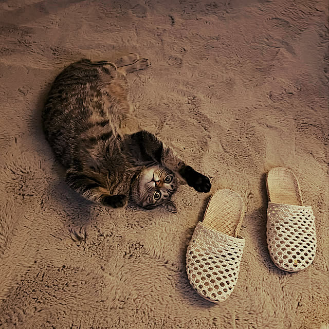 Mさんの実例写真