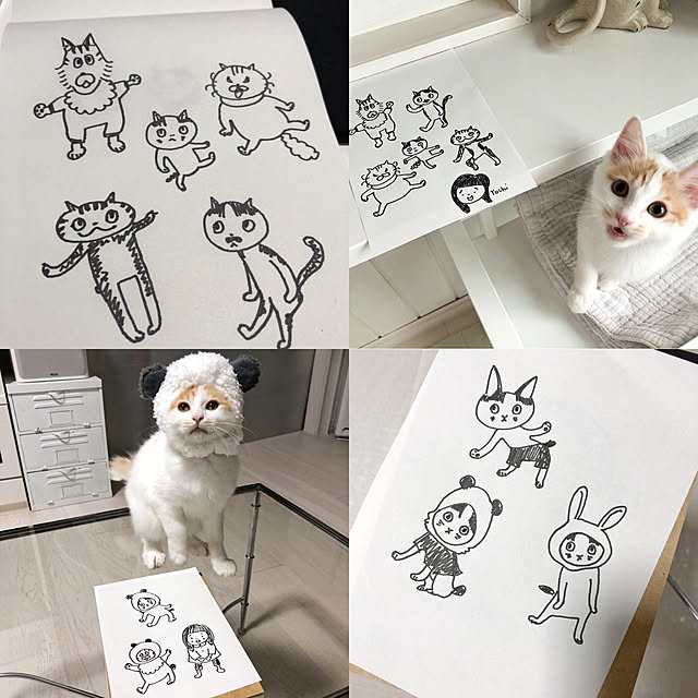 yuchiさんの実例写真