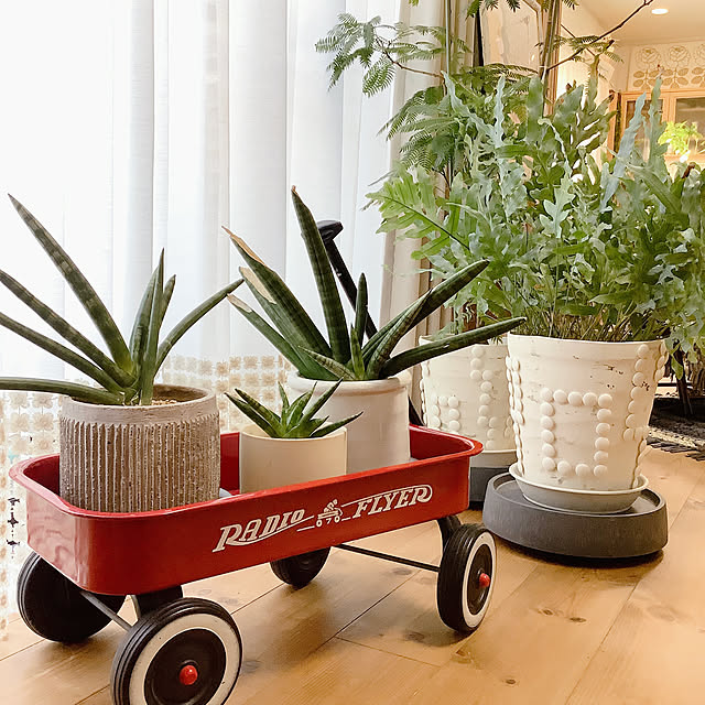 naive.coccoさんの実例写真