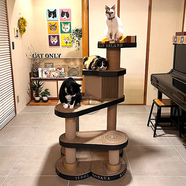 POMERUNさんの実例写真