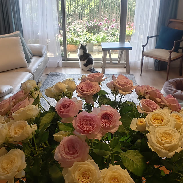 maronnanaさんの実例写真