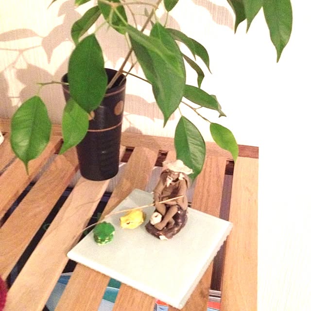 dicekbeetleさんの実例写真