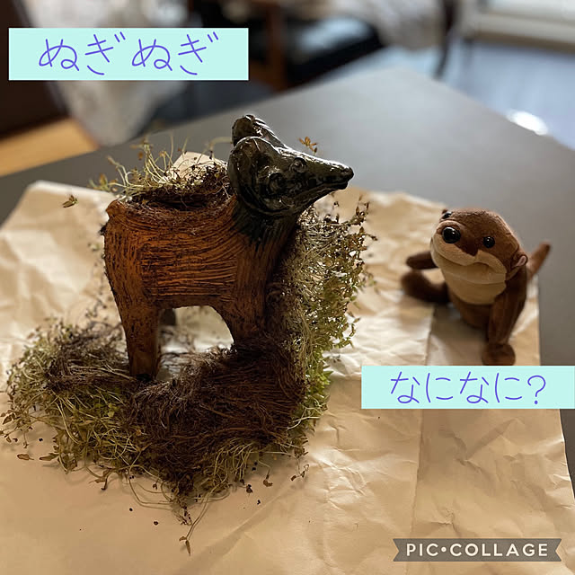 aureaさんの実例写真