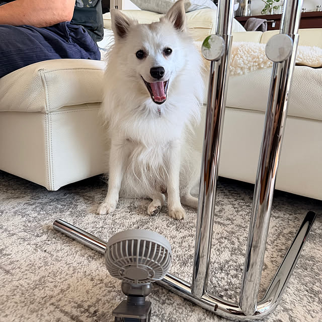 nuruiさんの部屋