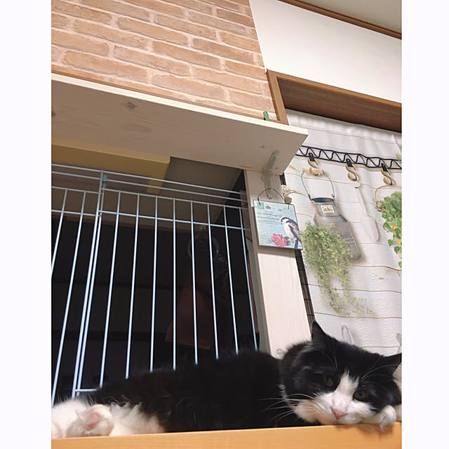 mame-minさんの実例写真
