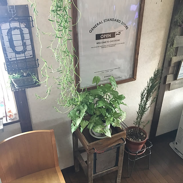 watawataさんの実例写真