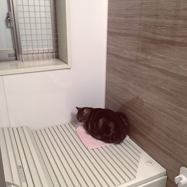 mikomaruさんの実例写真