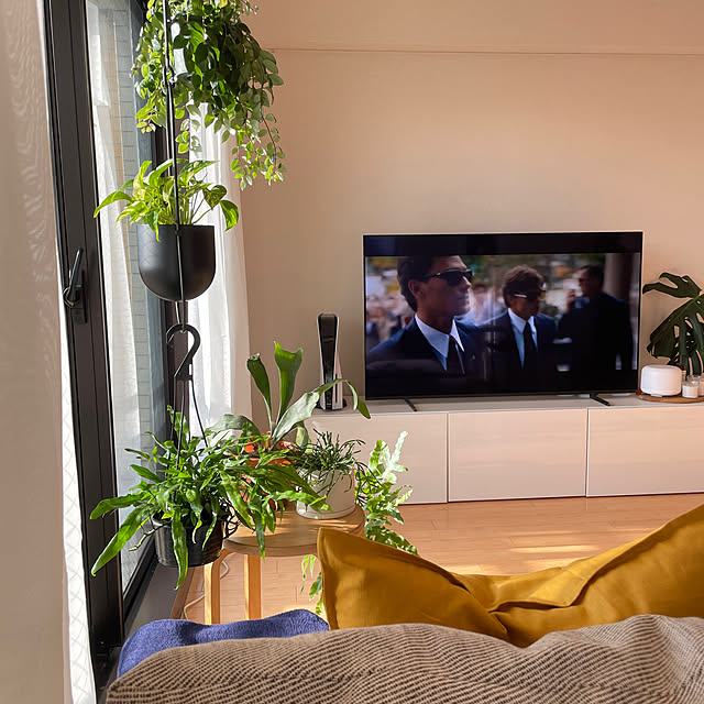 chico50さんの部屋