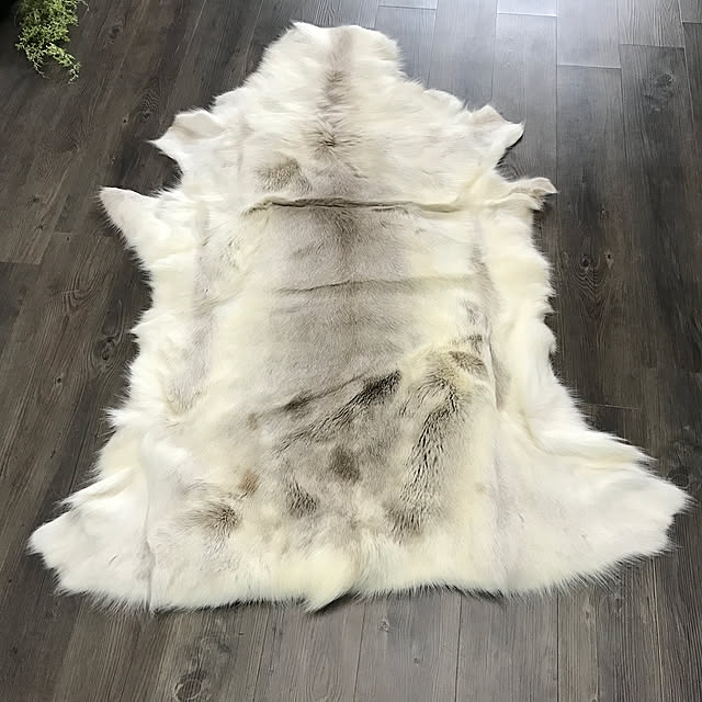 Rugs-Factoryさんの実例写真
