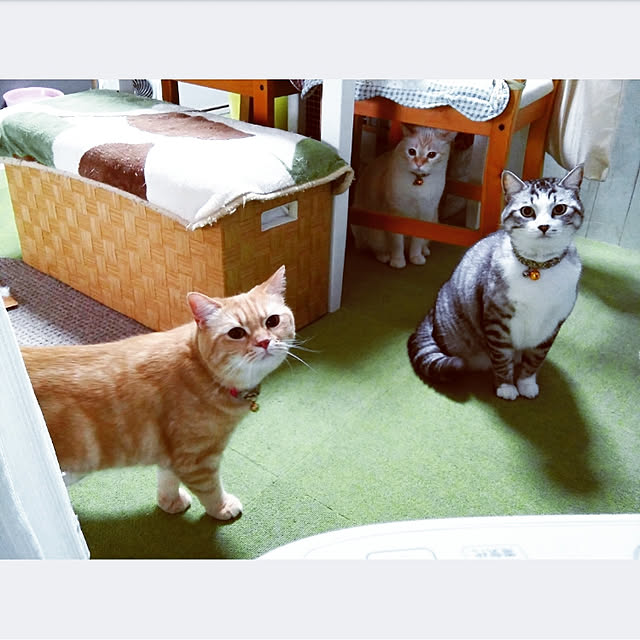 mntcさんの実例写真