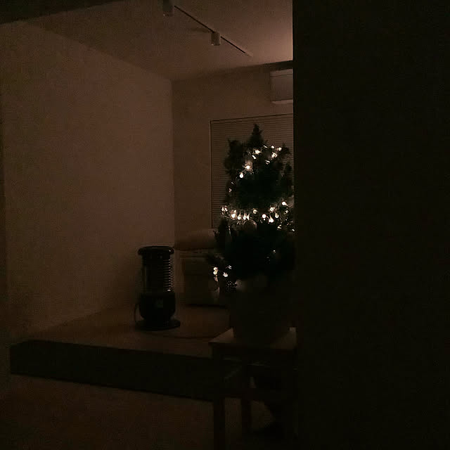 Doriさんの実例写真