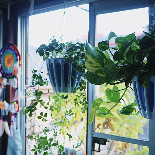 rainbowmakoさんの実例写真